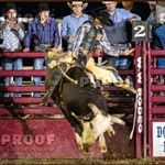 Sean Garner - Instagram Profile Picture of Sean Garner (@sean8garner49) on Instagram