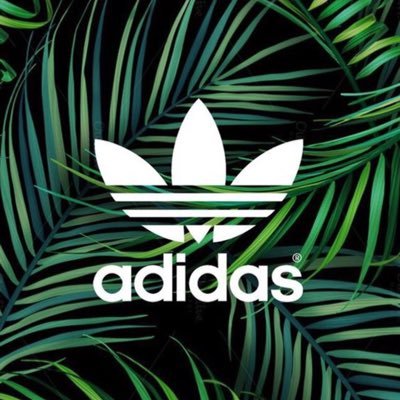 Profile Picture of Christopher Tippins (@Christo73764337) on Twitter