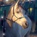 Profile Picture of Lynette Keyser (@keyserlynette) on Pinterest