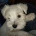 Profile Picture of Daniel Vas (@daniel.velasquezflores.7) on Facebook