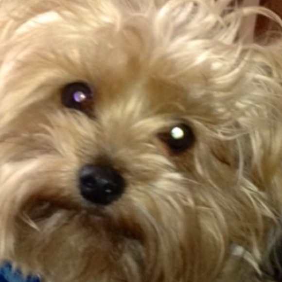 Profile Picture of Tikisha Mosley (@tiki19) on Poshmark