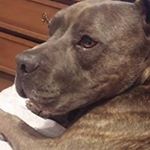 Profile Picture of Jason M. Fitzmaurice (@jason_m_fitzmaurice) on Instagram
