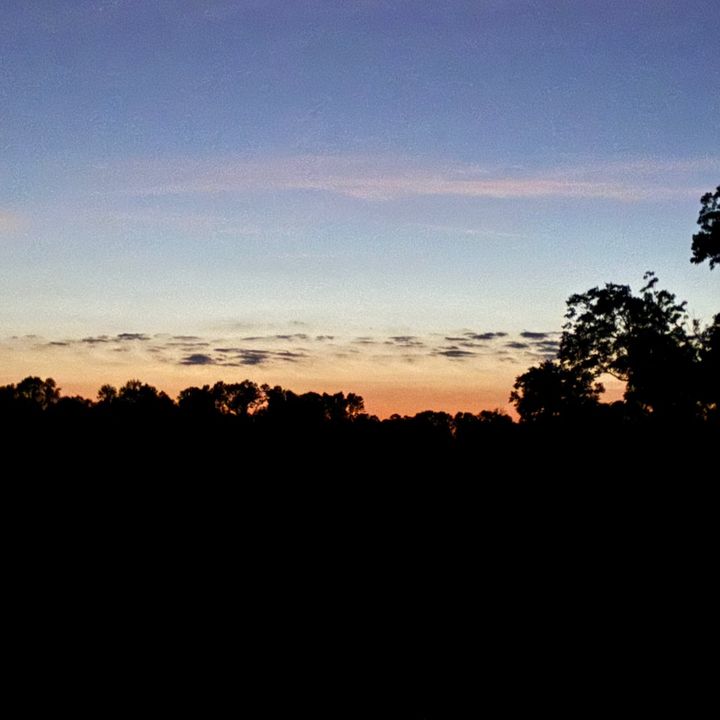 Profile Picture of 🦆_ROBERT_🦆 (@robert.conway56) on Tiktok