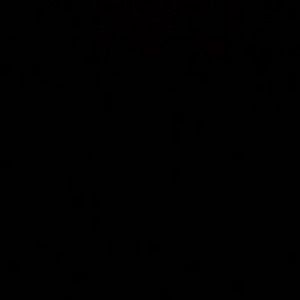 Profile Picture of Paula Andresen (@paula.andresen) on Tiktok