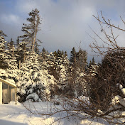 Profile Picture of Isaiah Pottle (@isaiahpottle8837) on Youtube