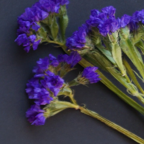 Profile Picture of Nada Nada (@riverchange) on Poshmark