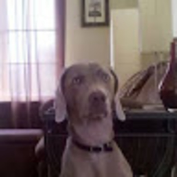 Profile Picture of Bradley Billmaier (@bradbillmaier) on Poshmark