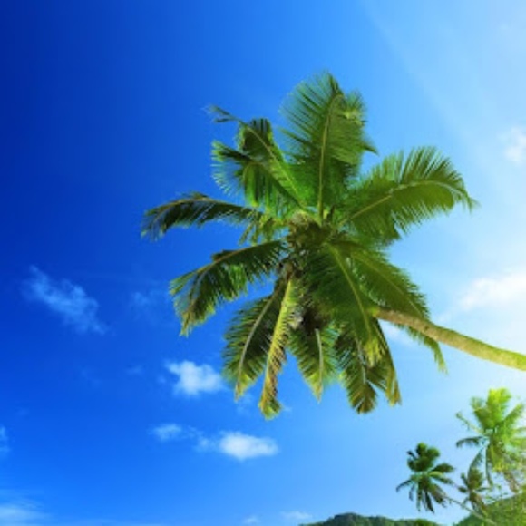 John Vetrano - Poshmark Profile Picture of John Vetrano (@jobonanas) on Poshmark