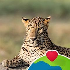 Profile Picture of Janet Burrows (@janet.burrows) on Tiktok