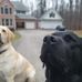 Profile Picture of Jon L. Black (@jon.l.black) on Facebook
