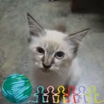 Profile Picture of Dixie Carion (@Dixie-Carion) on Facebook