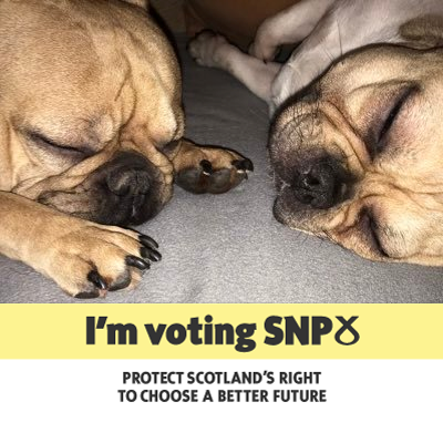 Profile Picture of Darren J Campbell #DissolveTheUnion (@DarrenJCampbel2) on Twitter
