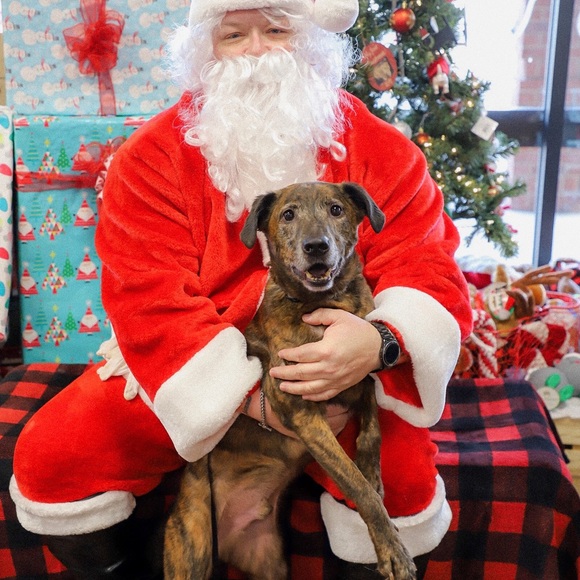 Daniel Kaskie - Poshmark Profile Picture of Daniel Kaskie (@afterdk12) on Poshmark