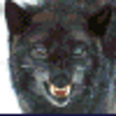 Profile Picture of Blake Jorgensen (@apocalyf) on Twitter