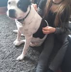 Profile Picture of Linda Moriarty (@linda.moriarty.520) on Facebook