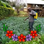 Profile Picture of Derick Gilwoni (@Derick-Gilwoni) on Facebook