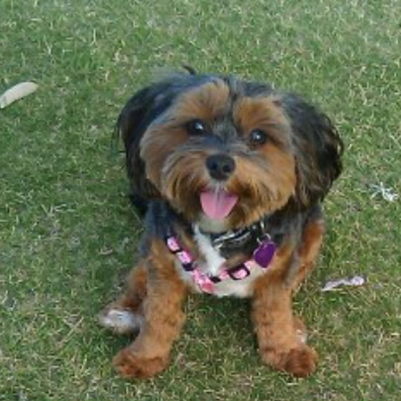 Profile Picture of Shauna Hannon (@smj1106) on Poshmark