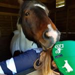 Profile Picture of Hannah Cousins (@piebald_cobs) on Instagram