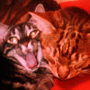 Profile Picture of Trevor Workman (Zan) (@trevorworkman2060) on Youtube