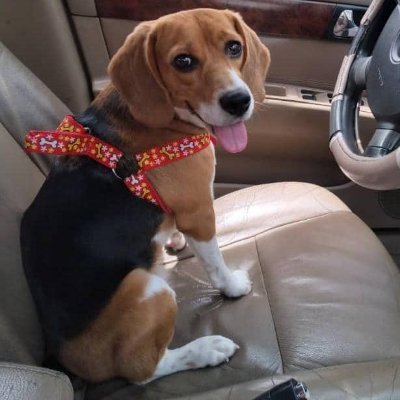 Profile Picture of Marlene Coromoto Albarran (@Marlene67978467) on Twitter