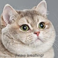 Profile Picture of Dávid Bangó (@dávid-bangó-1) on Quora