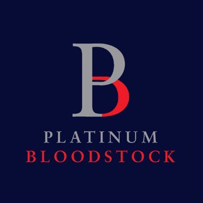 Profile Picture of Platinum Bloodstock (@PlatinumIre) on Twitter