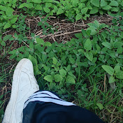 Yesenia Lobo Rejas. - Youtube Profile Picture of Yesenia Lobo Rejas. (@yesenia-9258) on Youtube