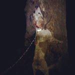 Profile Picture of Taylor Stripling (@taylor_stripling) on Instagram