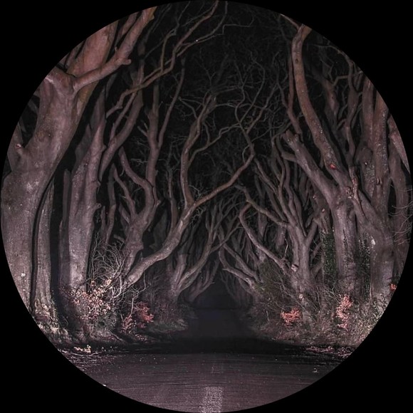 Profile Picture of Axel Van horn (@axelman2006) on Poshmark