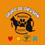 Profile Picture of Ayúdanos a llegar a más gente. Comparte 🗣️🐾🐶🐱 (@casosexternos_aanipal) on Instagram