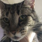 Profile Picture of tabathadunlap6 (@tabathadunlap6) on Instagram