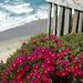 Profile Picture of Debra Barlow (@barlow5850) on Pinterest
