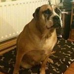 Profile Picture of Terry Christopher (@christopherterry1976) on Instagram