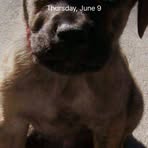 Profile Picture of Devin Brill (@devin.brill.79) on Facebook