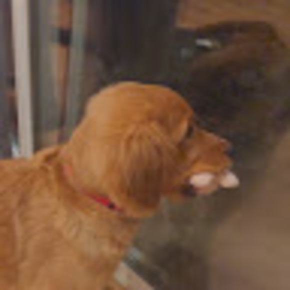 Profile Picture of Amanda Zender (@amandazender) on Poshmark