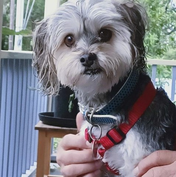 Profile Picture of Cherrill Wheatley (@cherrillw) on Poshmark