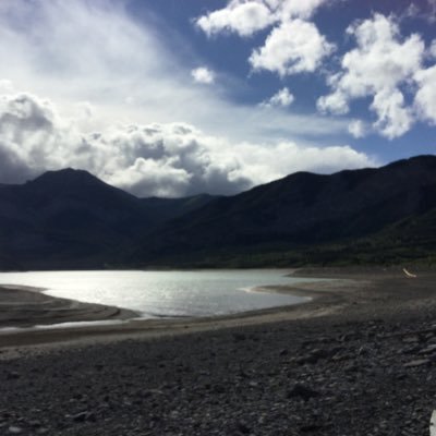 Profile Picture of Eva Salamon (@pinkdancer1213) on Twitter