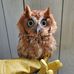 Profile Picture of Rosalind Andrews (@rosalind.andrews.988) on Facebook