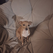 Profile Picture of Steve Manning (@stevenmanning7975) on Youtube