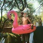 Profile Picture of Rodrick J. Corn (@rodrick_james.corn) on Instagram