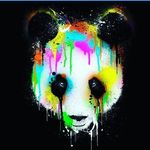 Peter Iha - Instagram Profile Picture of Peter Iha (@iha_peter) on Instagram