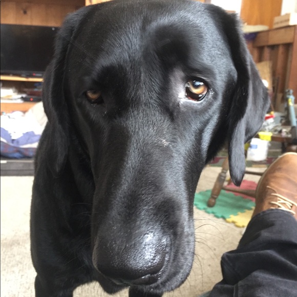 Profile Picture of John Hennings (@mtkgrom) on Poshmark