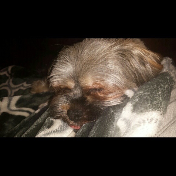 Profile Picture of Arlene Camajani (@mamaoftwinstars) on Poshmark