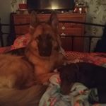 Profile Picture of Paula Sturgeon (@paulainessex) on Instagram