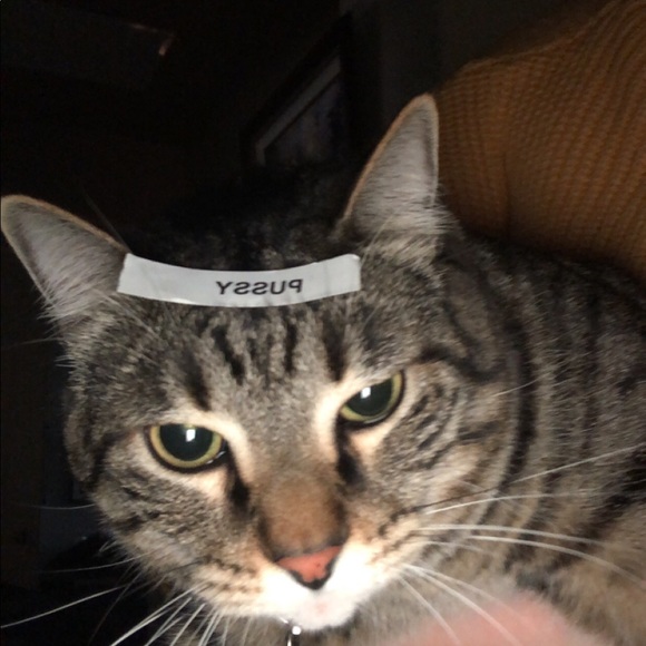 Profile Picture of Anna kate Littlejohn (@annakatezx) on Poshmark