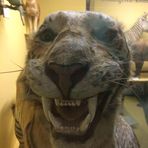 Profile Picture of Dave Mincemeyer (@dave.mincemeyer.9) on Facebook