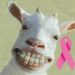 Profile Picture of Dawn Schmidt (@dawncards) on Pinterest