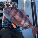 Profile Picture of David Palomo (@david.palomo_fishing) on Instagram