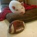 Profile Picture of Marion Blatty (@marion118) on Pinterest