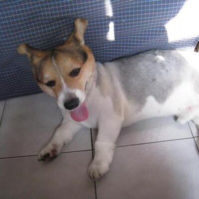 Profile Picture of 廖信傑 (@HsinChiehLiao) on Twitter